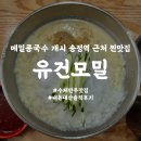 [유건모밀] 송정역 근처 모밀 만두 전문점 내돈내산 솔직후기 콩국수 개시