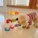 털로덮인친구들(동탄호수공원점) 이미지