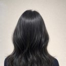 이철헤어커커범계점 네이버블로그