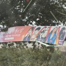 울주 피크닉 콘서트 유월의 밤 | [울주피크닉 콘서트] 유월의 밤