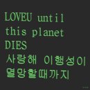 메가그릿 네이버블로그