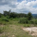 (주)해피팜스 이미지