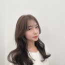 다산지금로 이미지