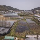 연한농장 이미지