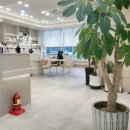 울산 강일웅고양이메디컬센터 이미지