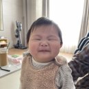 지성이해물찜 이미지