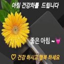 참 이란 글자 이미지