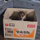신라몽 - 세종특별자치시 한누리대로 237 | 경주 여행 _ 음식점 후기