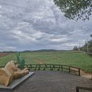 선운목장 | 고창 여행 후기