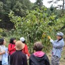 김두용농장 이미지