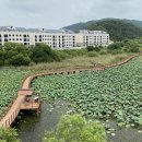 청덕면_두곡리(배출하우스)_2 | 합천군 생활밀착형 환경관리에 힘써