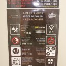 스텝인 명동1 | 스텝인명동1 : 서울 명동성당 바로 앞 게스트하우스 숙소 추천