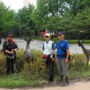 Good Forest 이미지