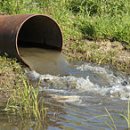 Effluent 이미지