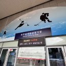 한국체육대학교 (빙상경기장옆) | 전주 겨울 실내 데이트 코스 추천 | 빙상경기장 스케이트장 소개