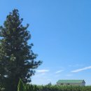 제주 덕수재 이미지