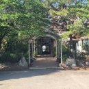 오색진두부 이미지