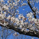 상림리 책읽는 공원 이미지