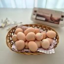 고려농장 | 자유방목 난각번호 1번의 동물복지 유정란 추천 에덴농장 강원 고려닭 재래 유정란 솔직후기