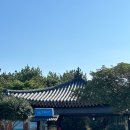 (주)롯데호텔제주 | 출장 끝 진짜 휴가! 롯데호텔 제주 후기 + 해온 수영장