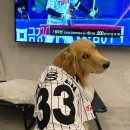 탄앤쿠키 이미지