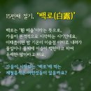 백로 이미지