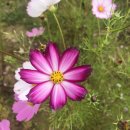 노동3리 이미지