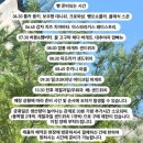대추원천 | [내돈내빵] 대흥/마포 ‘크리크’ 방문 후기