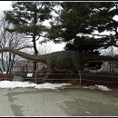 덕소자연사박물관 이미지