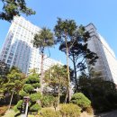 햇살공인중개사사무소 이미지