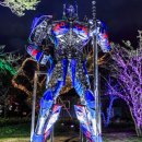 로맨틱 제주 이미지