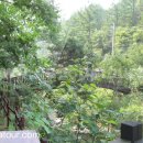 백운산자연휴양림 이미지