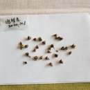 천포민박 이미지