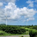 성산읍 푸른마을 이미지