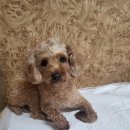 순천이수중학교 이미지