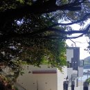 다도해힐링펜션 이미지