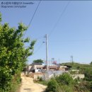 창후태양광발전소 이미지