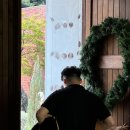 러스틱문 이미지