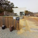 평택-평택-1 | 브런치 시켰는데… 의외로 이게 1등 | 평택 브런치 카페 시숲 솔직 후기