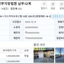 강서구-49 이미지