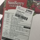 [sunberry farms 토마토주스] 코스트코 비추 아이템 / 내돈내산