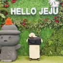 한산켄넬 이미지