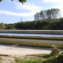 프로켐(주) 이미지