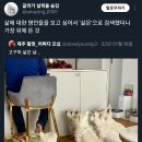 삶에 대한 명언들을 보고 싶어서 '삶은'으로 검색했더니 가장 위에 이미지