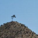 진산우체국 이미지