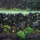 여전히 제주 이미지