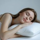 바디리페어 이미지