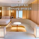 부산 해운대 감성숙소 UH컨티넨탈 센터포인트 자쿠지 무료 위스키 부산 해운대 호텔 추천 후기