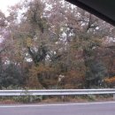 동홍힐링사우나 이미지