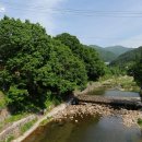 안성면105 이미지